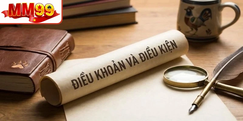 Điều khoản điều kiện tạo ra một môi trường giải trí chuyên nghiệp, minh bạch