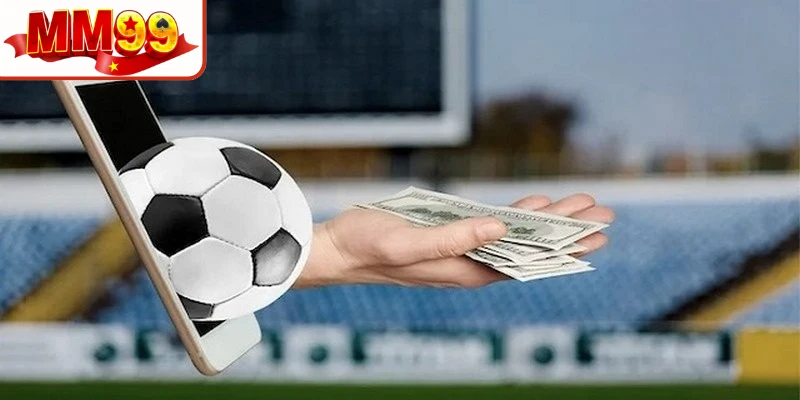 Cách đọc tỷ lệ chấp một phần tư chi tiết cho người mới nắm bắt